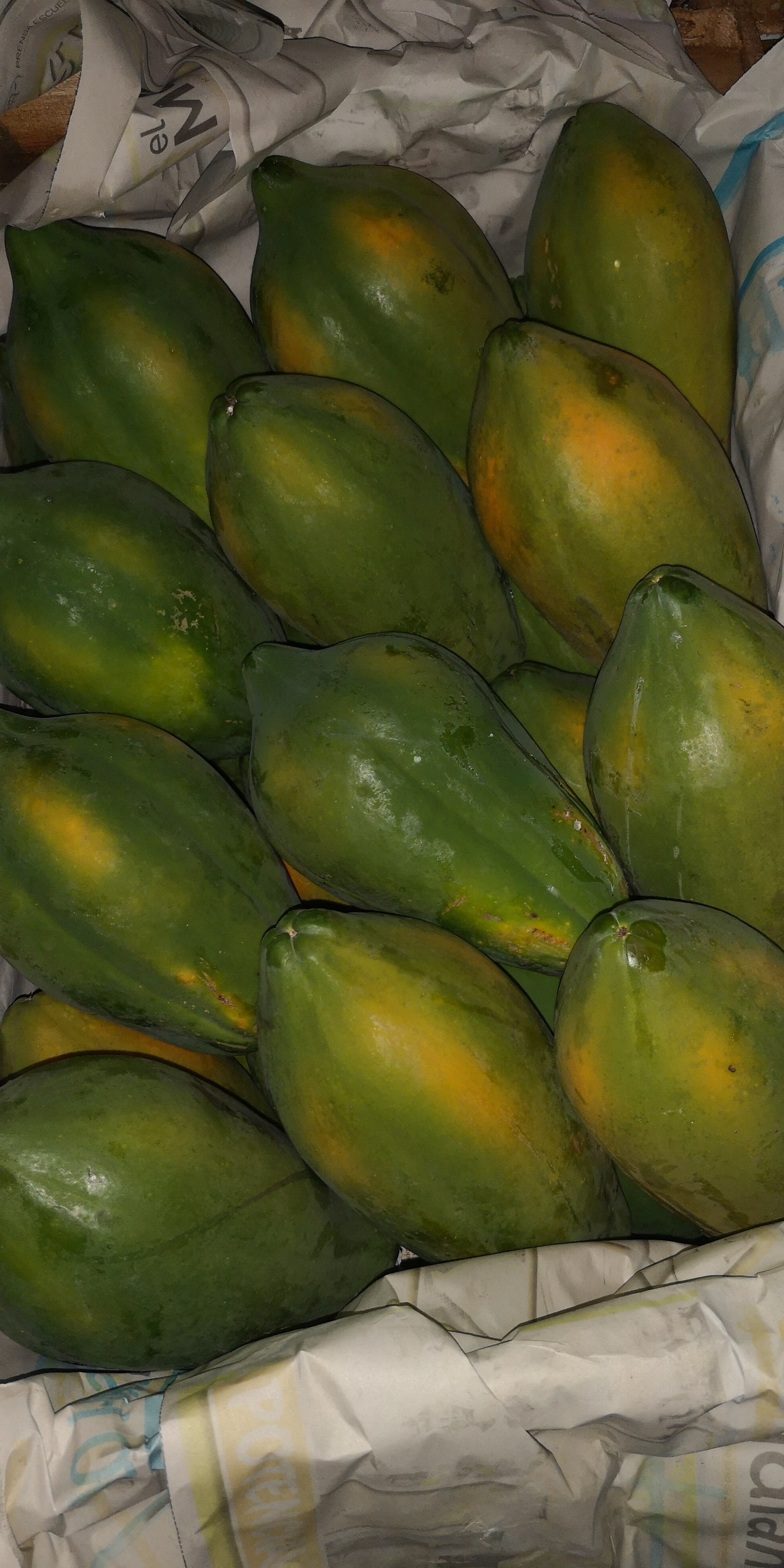 Papaya *25kg