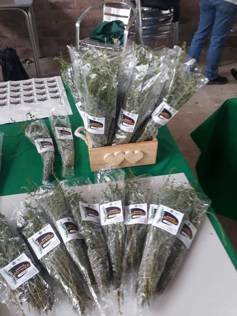 Paquete Aromatica ( yerba buena, estragón, menta, ruda, tomillo, laurel, manzanilla, limonaria, torongil, cidron, romero, caléndula, apio, Altamira,
