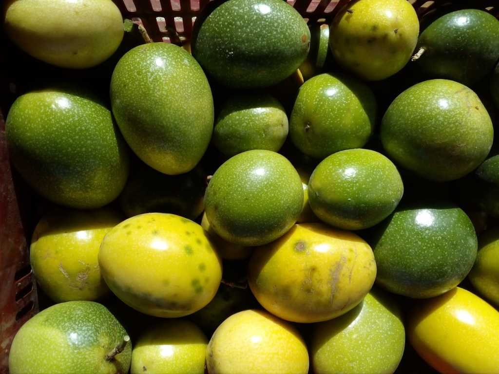 Maracuya extra