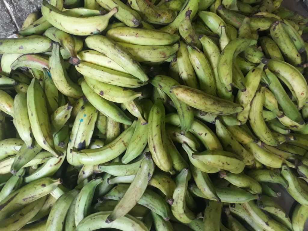 Platano verde