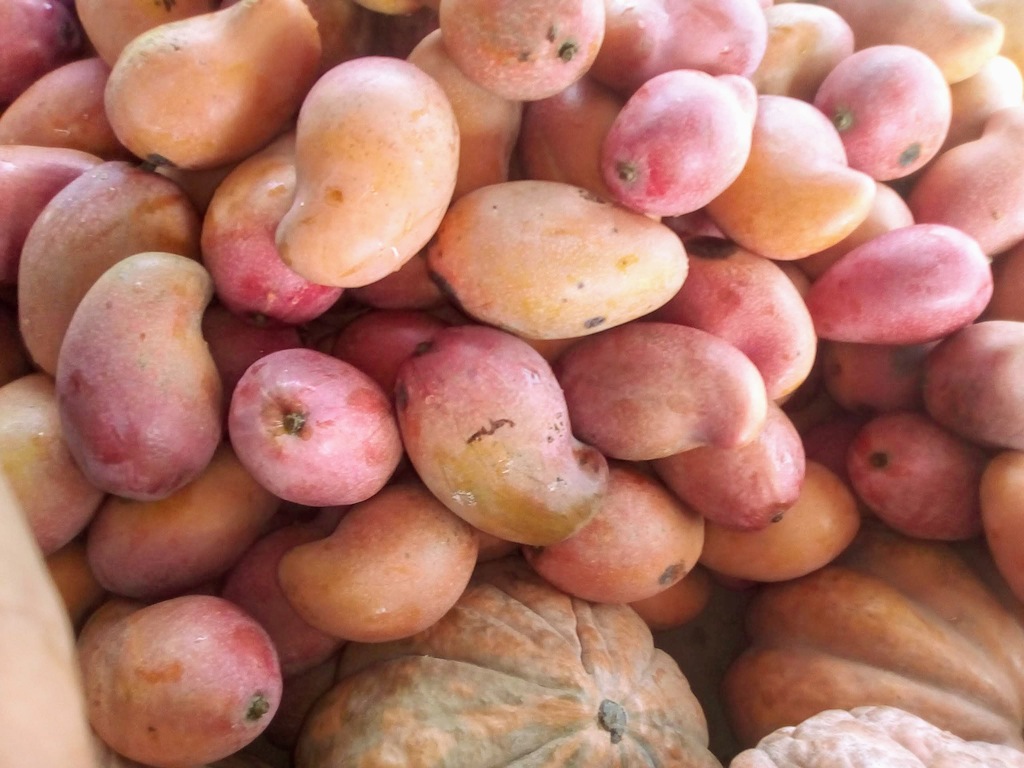 Mango de chupa