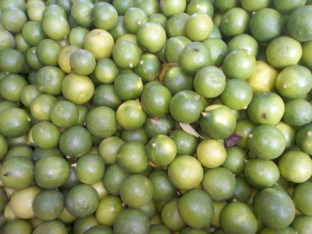Limón