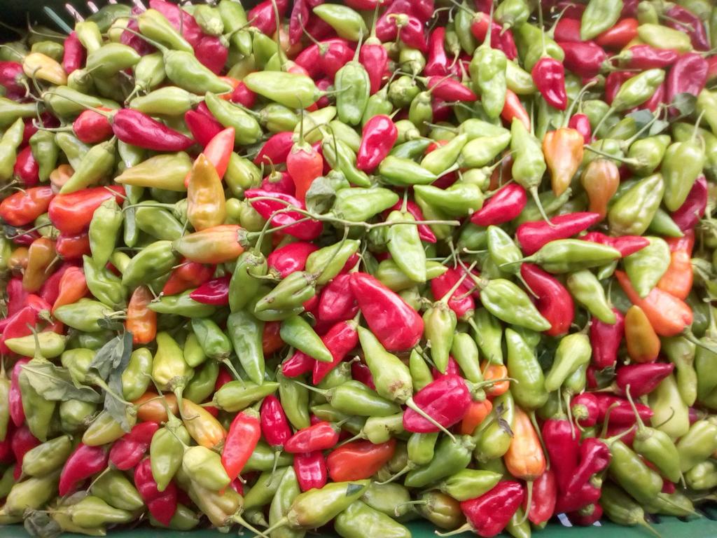 Ají criollo