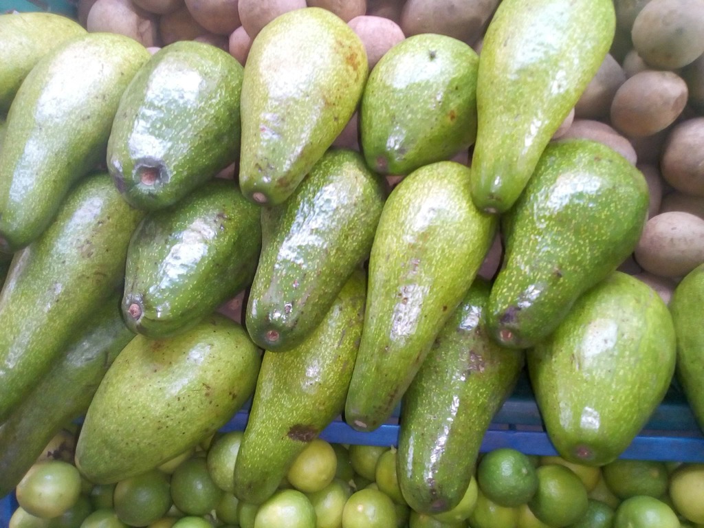 Aguacate