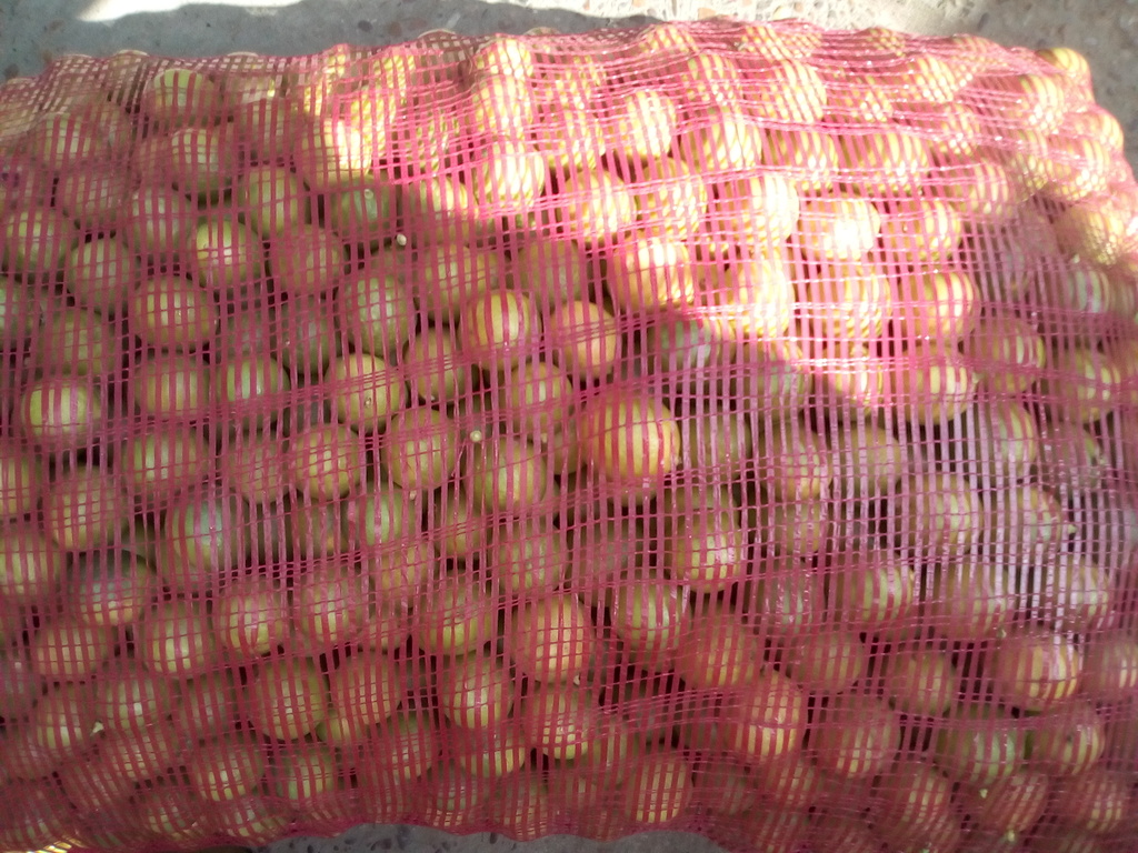 Limón x bulto