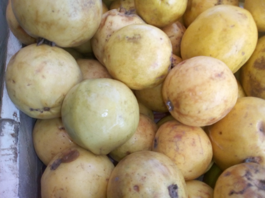 Guayaba agria