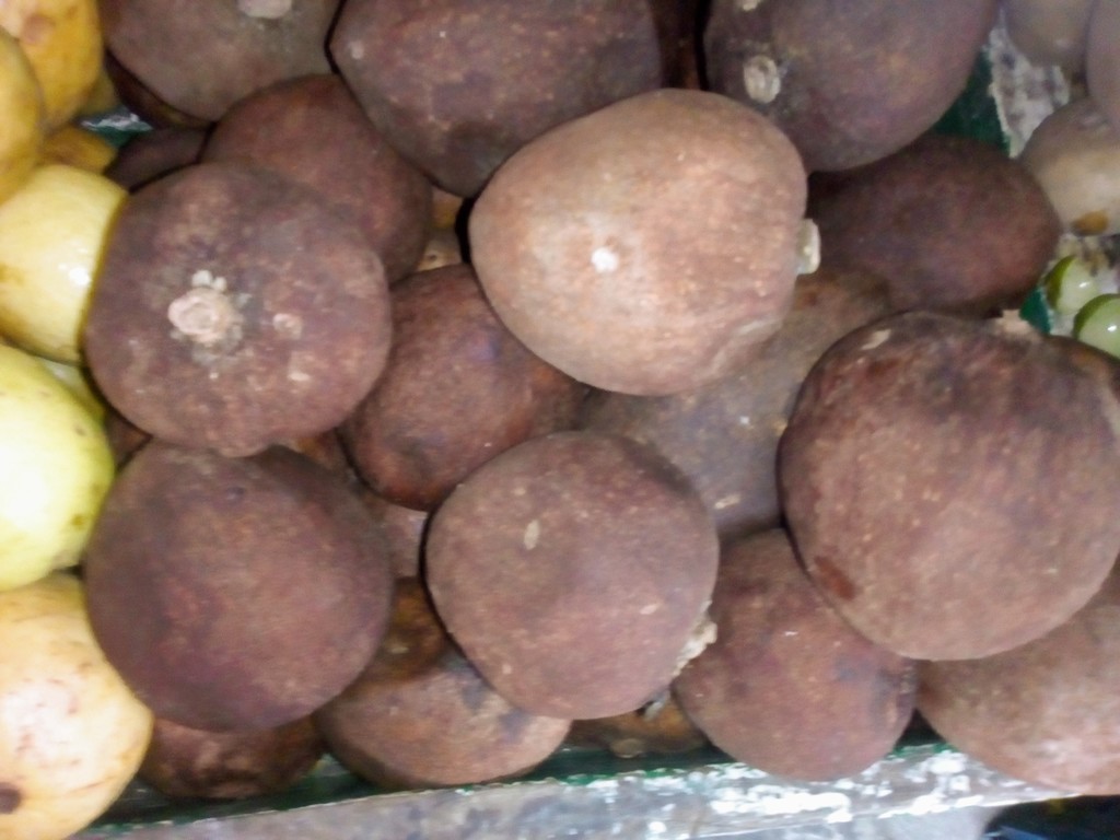 Zapote