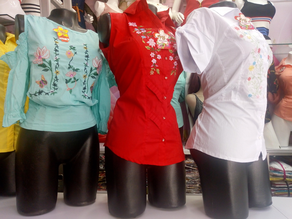 Blusa bordada para dama
