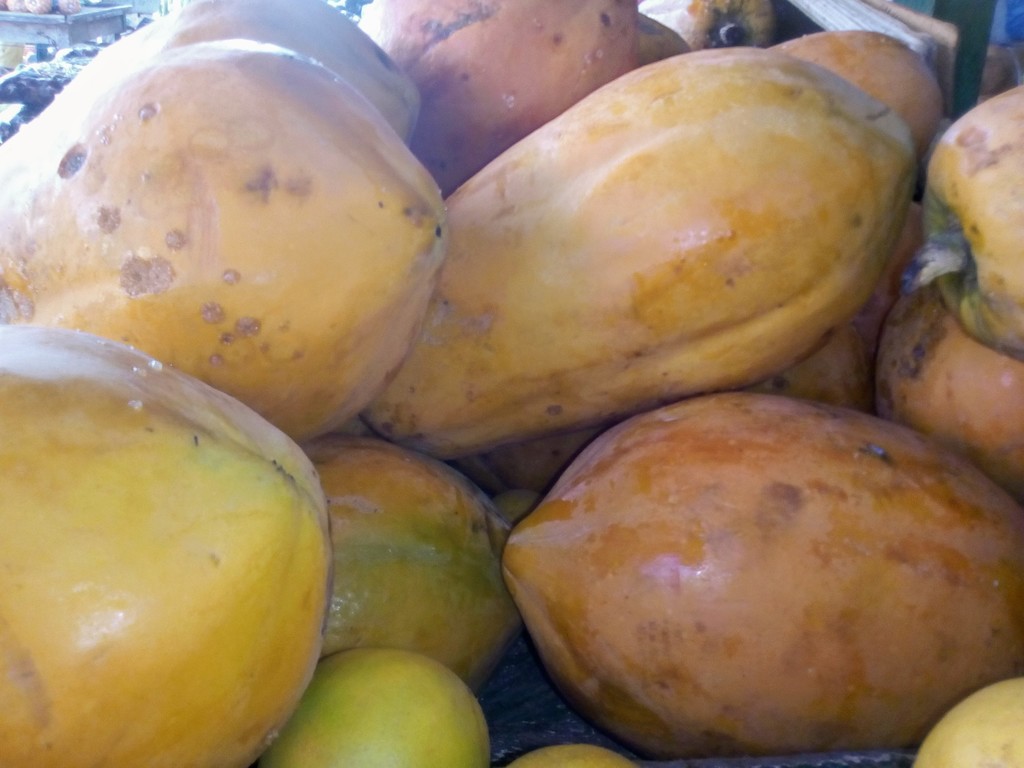 Papaya