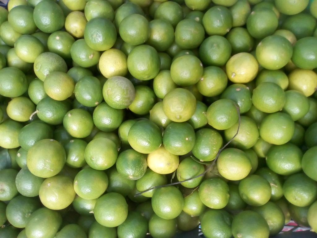 Limón