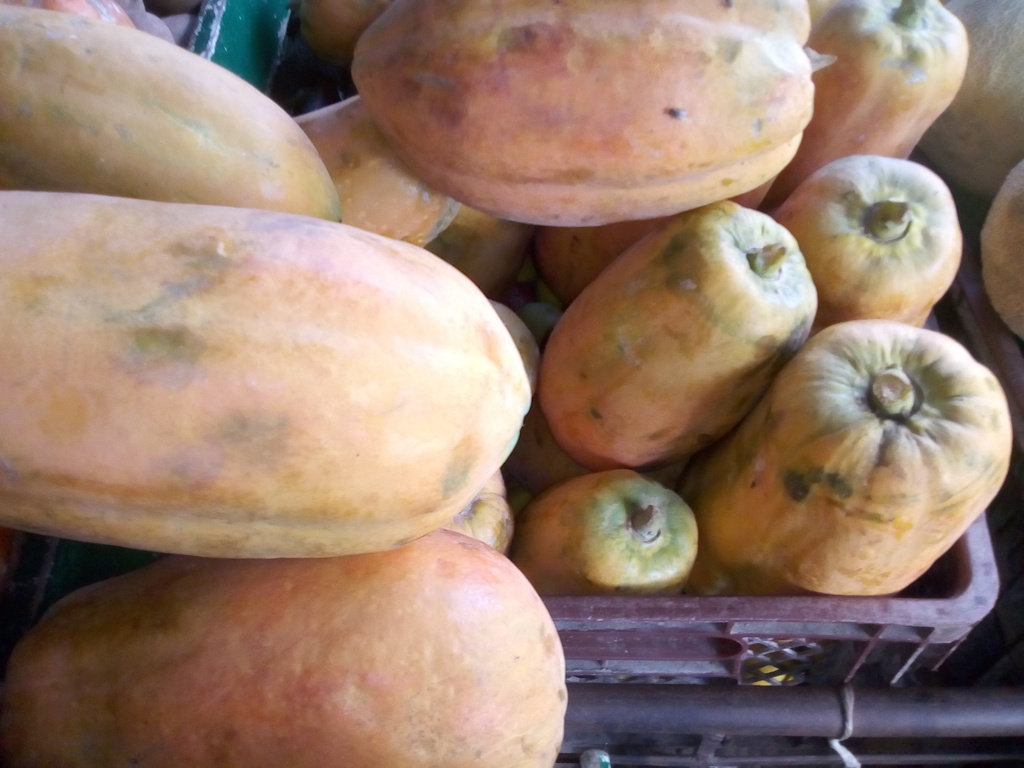 Papaya