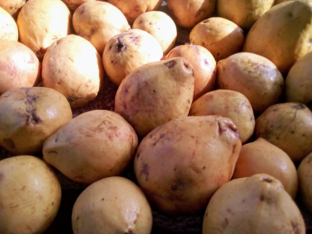 Guayaba dulce