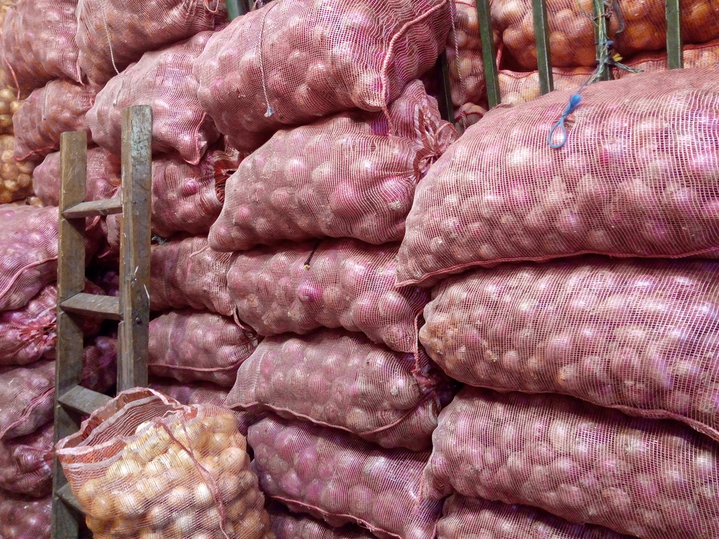 Cebolla cabezona morada