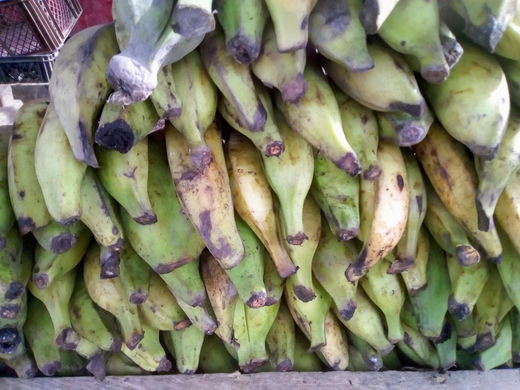 Plátano