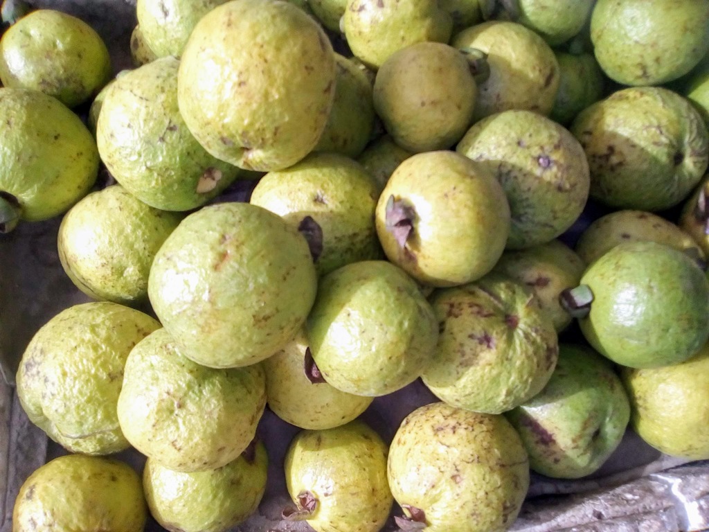 Guayaba agria