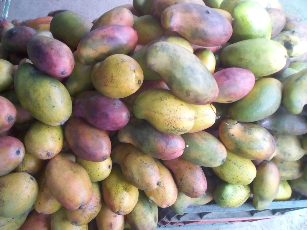 Mango de chupa