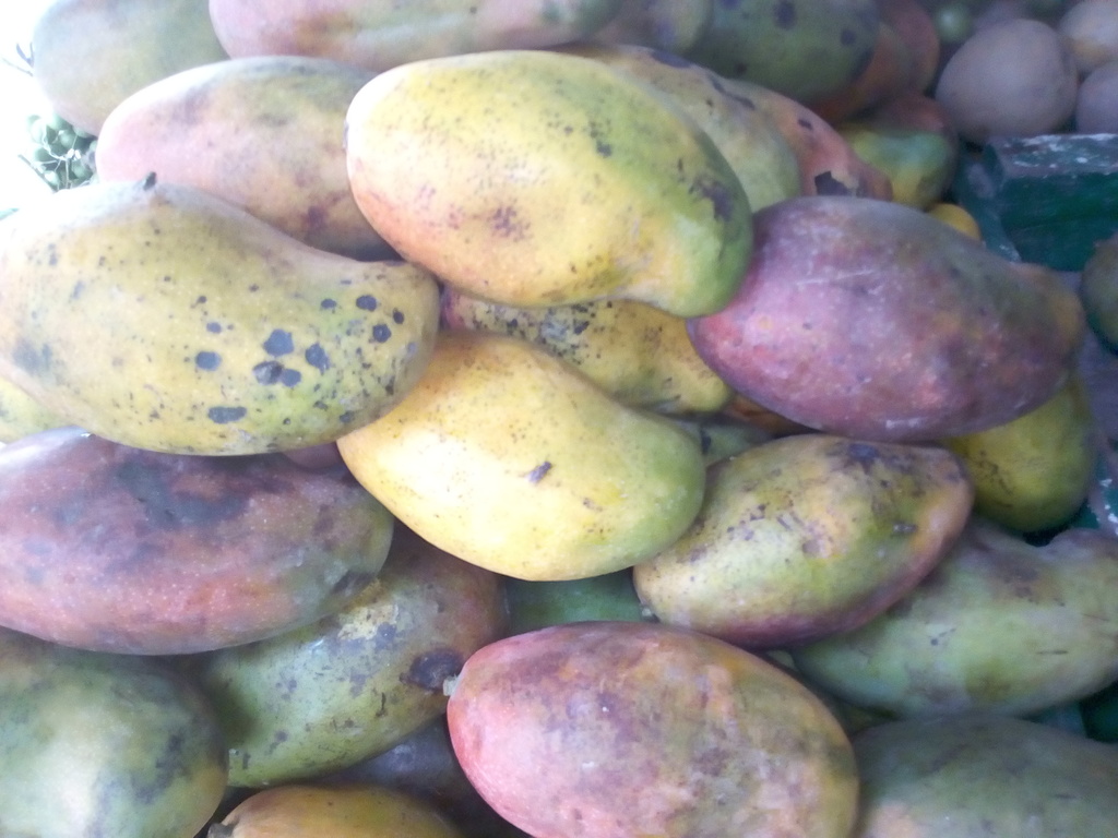 Mango de chupa