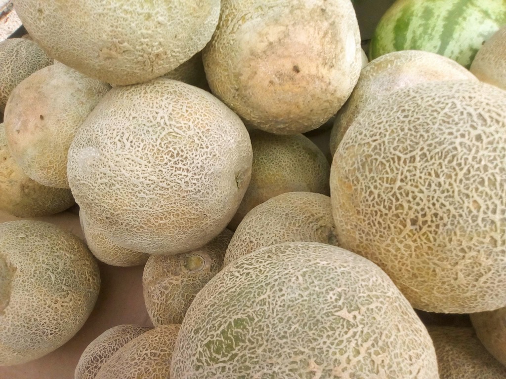 Melón