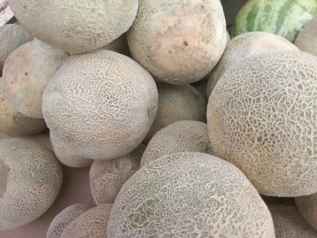 Melón