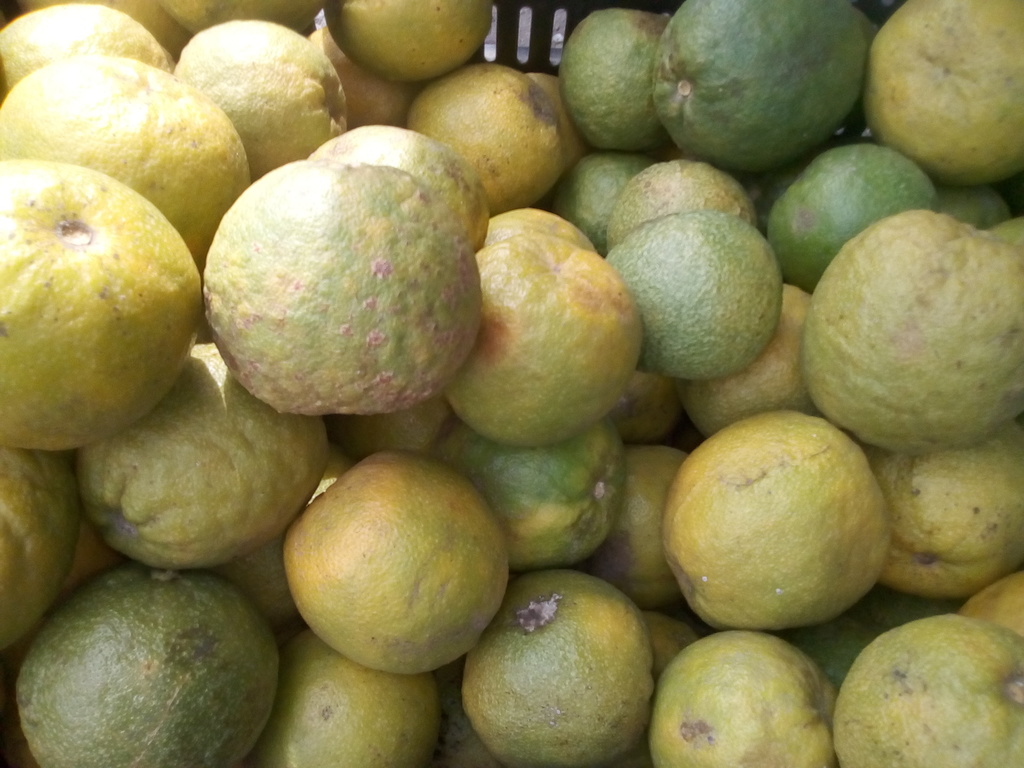 Naranja agria