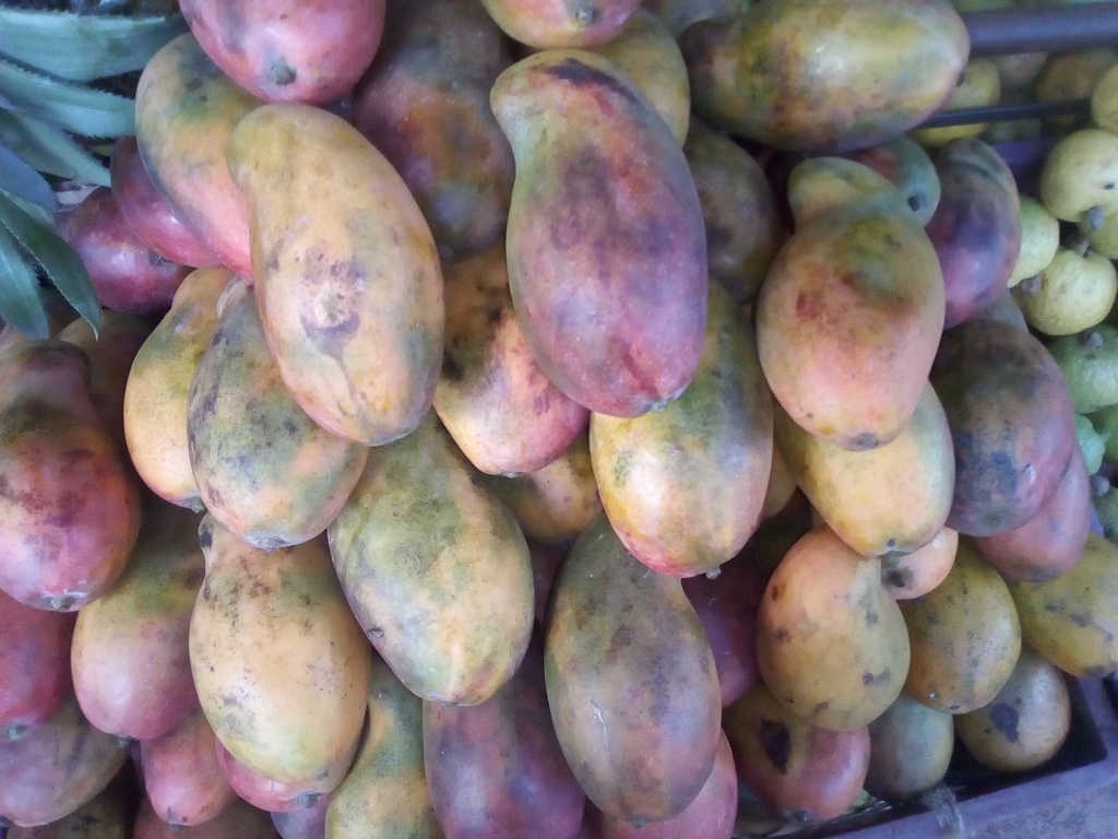 Mango de chupa