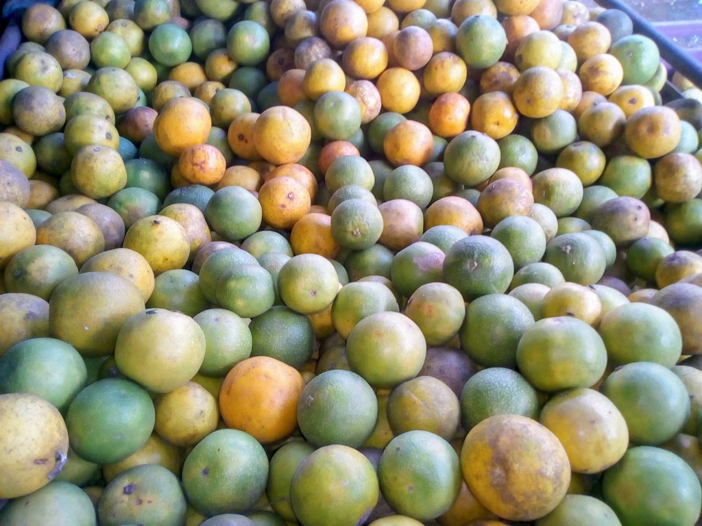Naranja dulce pareja