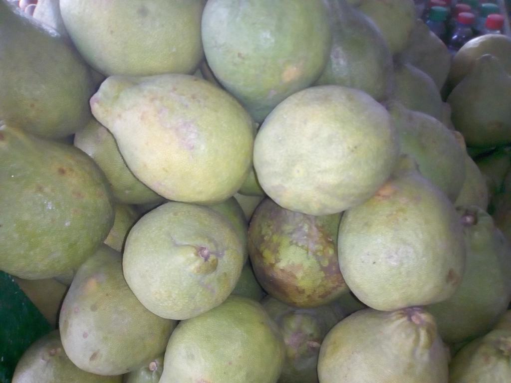 Pomelos