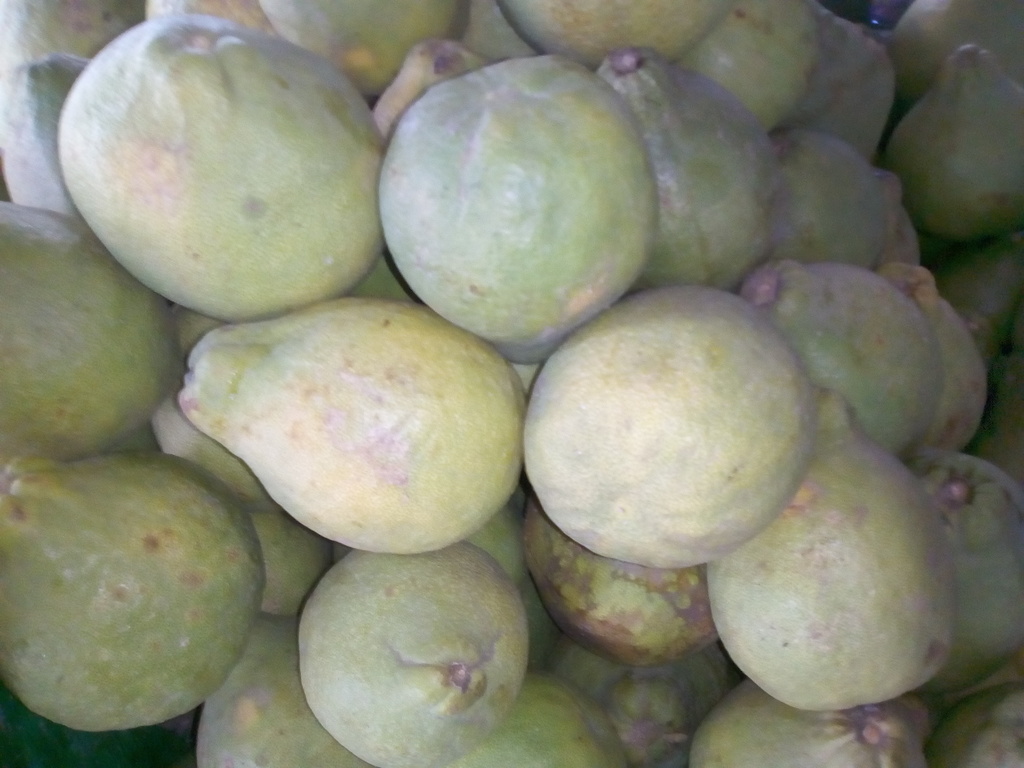 Pomelos