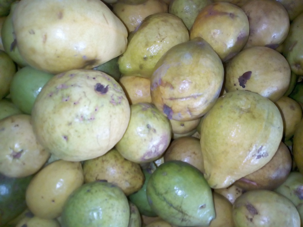 Guayaba dulce