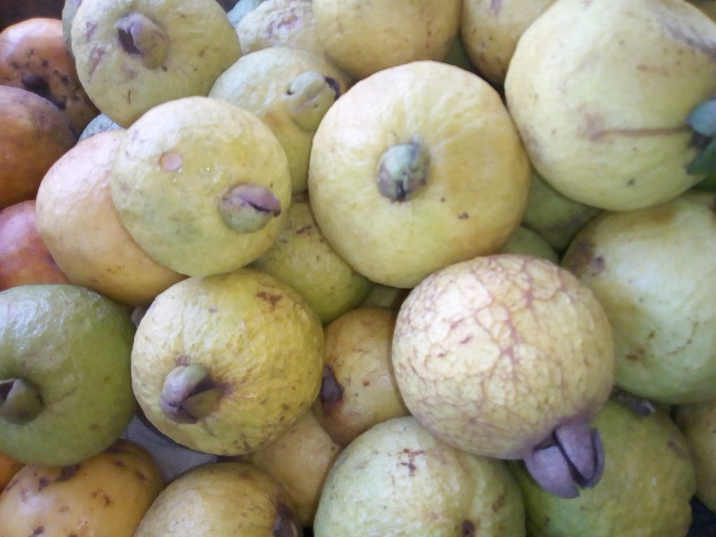 Guayaba agria