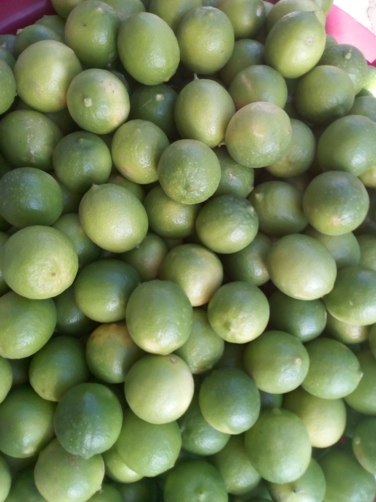 Limón