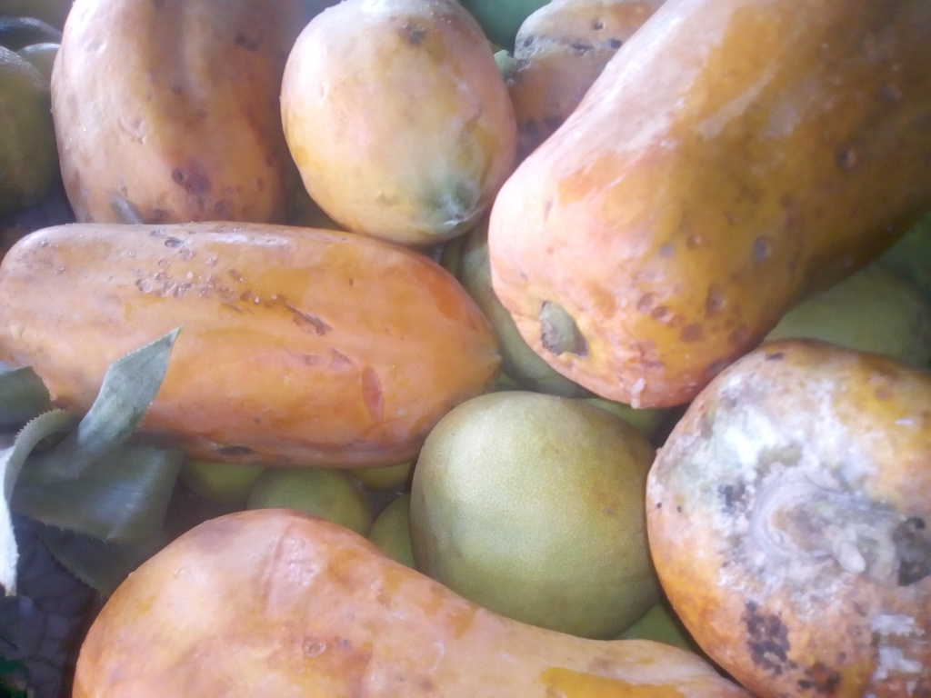 Papaya