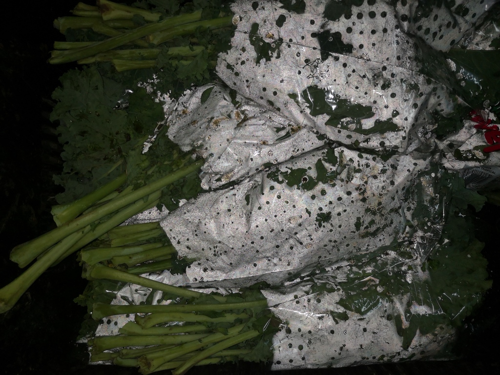Rugula