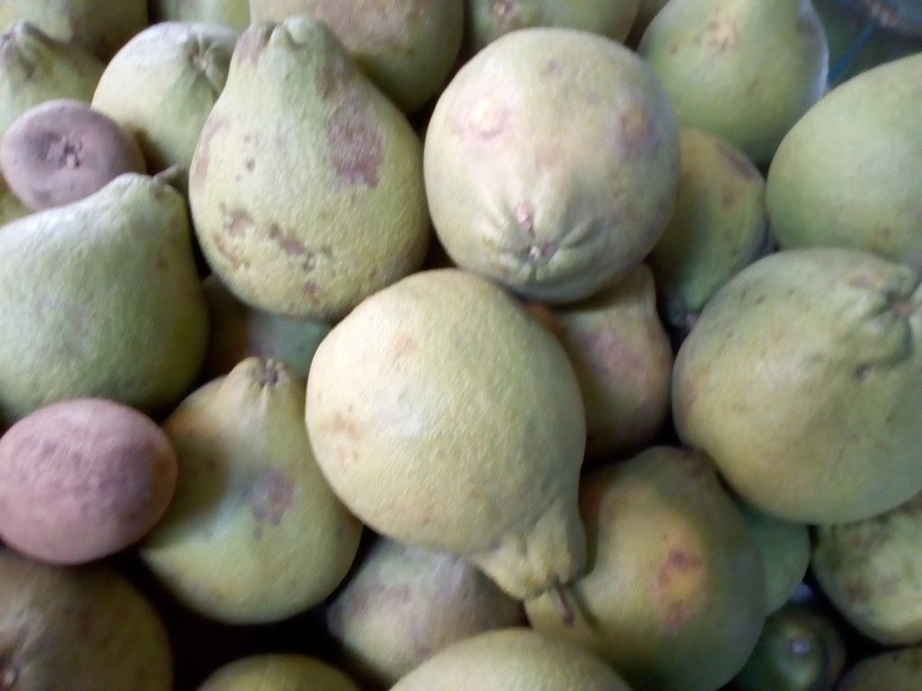 Pomelo