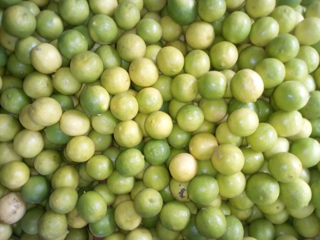 Limón