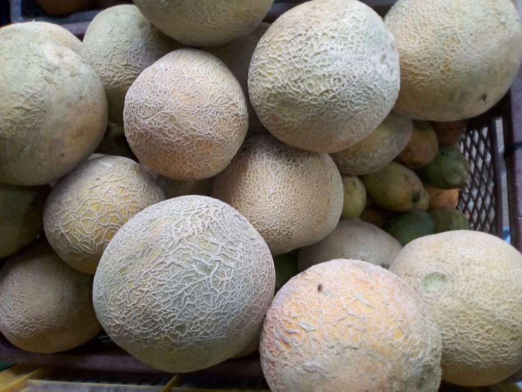 Melón