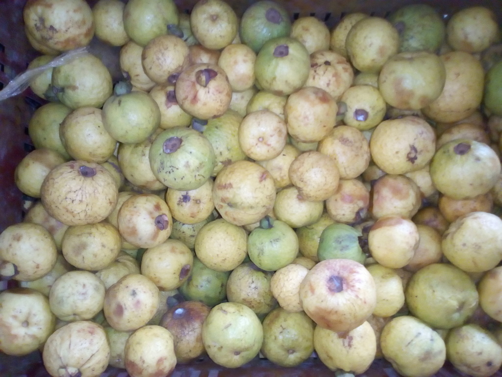 Guayaba dulce