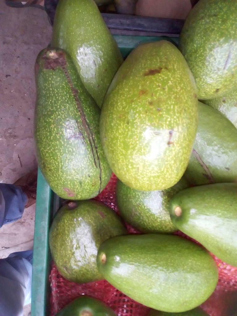 Aguacate
