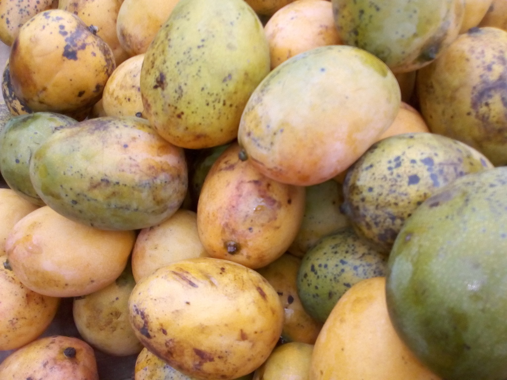 Mango azúcar