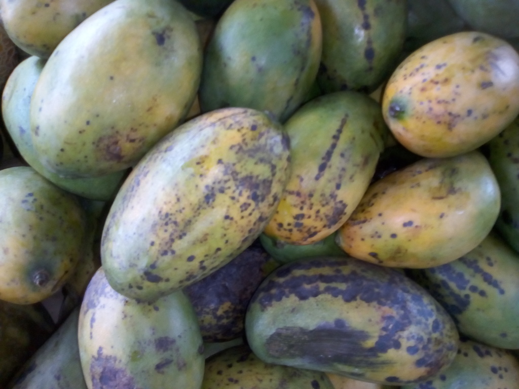 Mango bocado