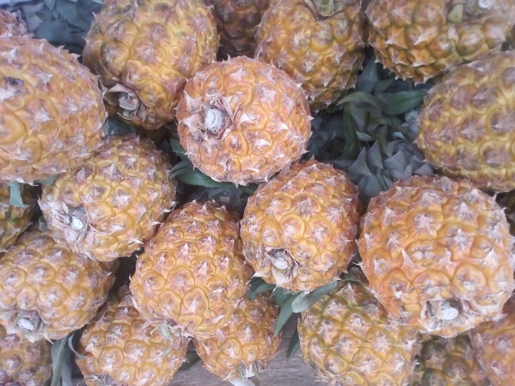 Piña
