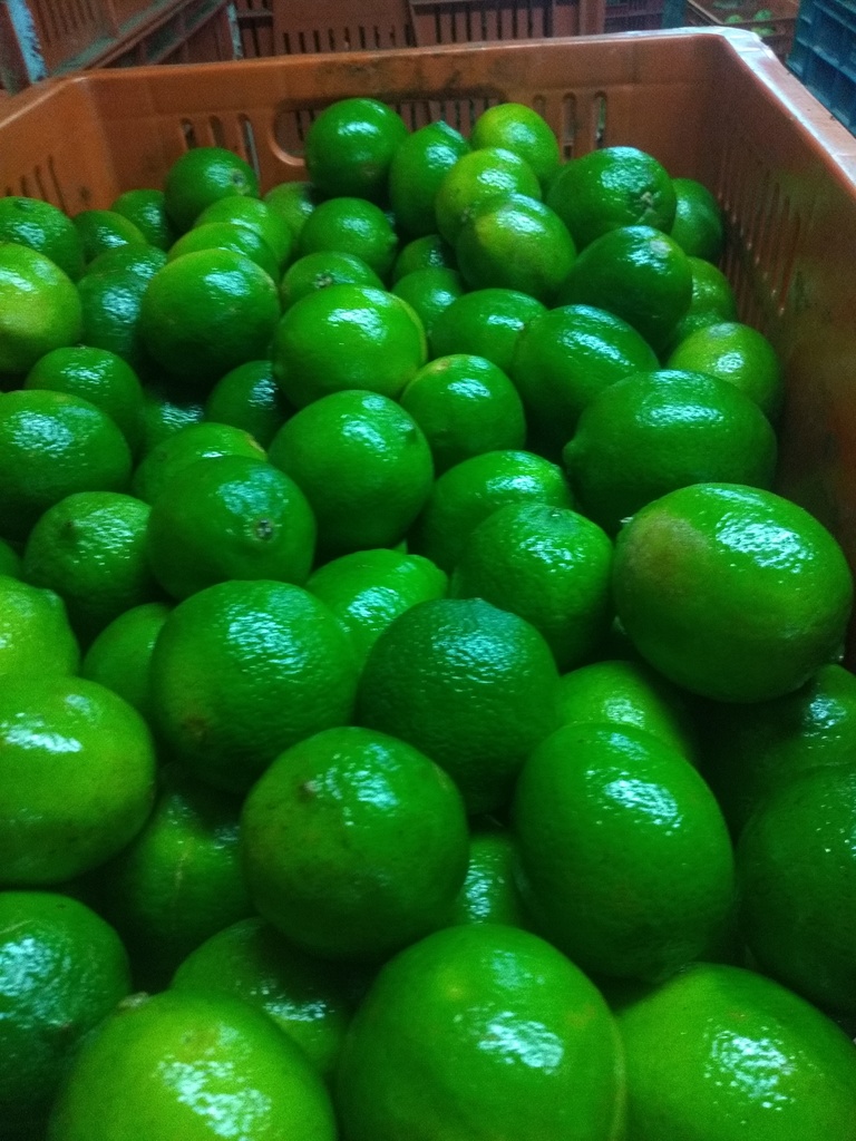 Limón Tahití