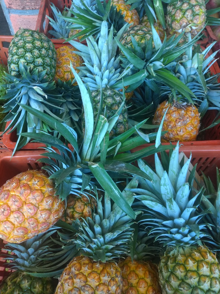 Piña oromiel