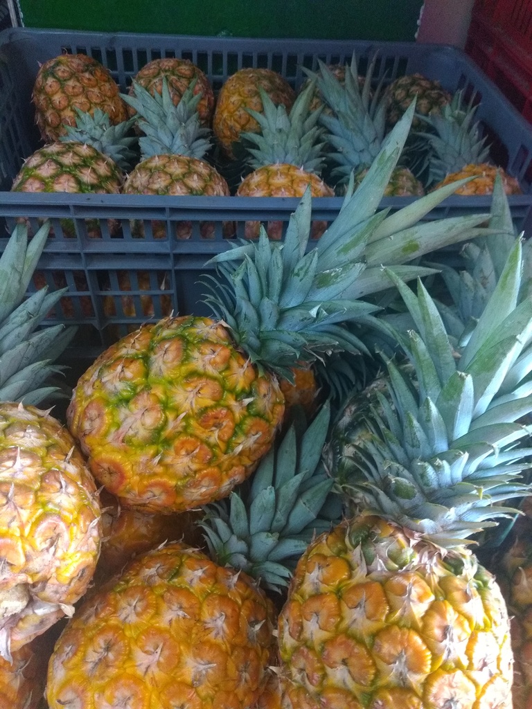 Piña oromiel