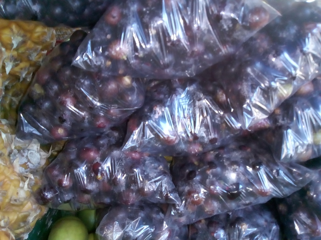 Corozo