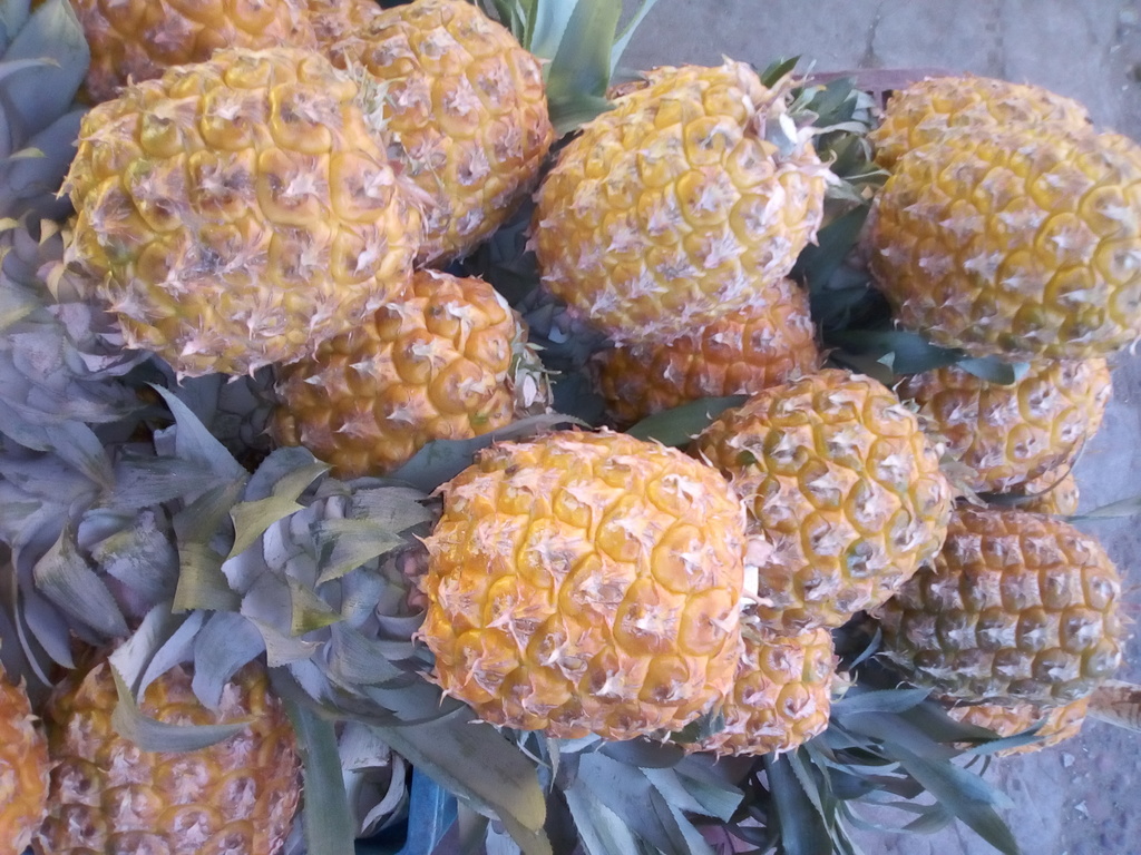 Piña