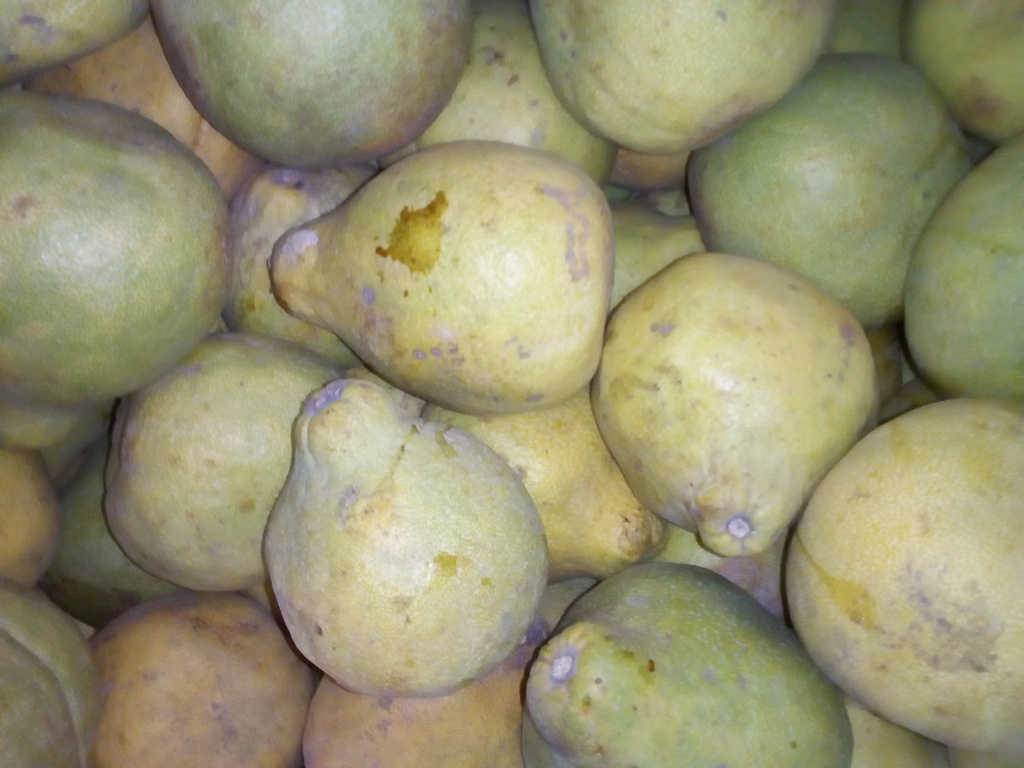 Pomelos
