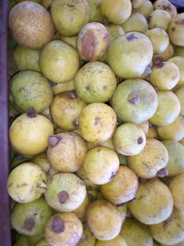 Guayaba agria