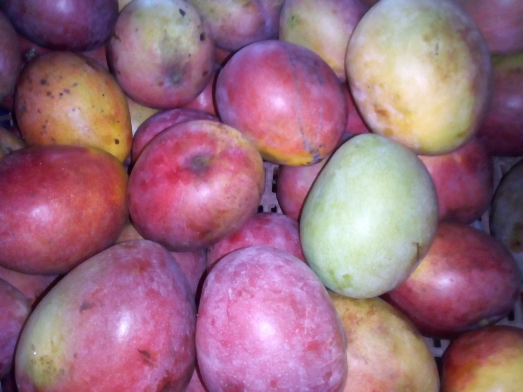 Mango manzana