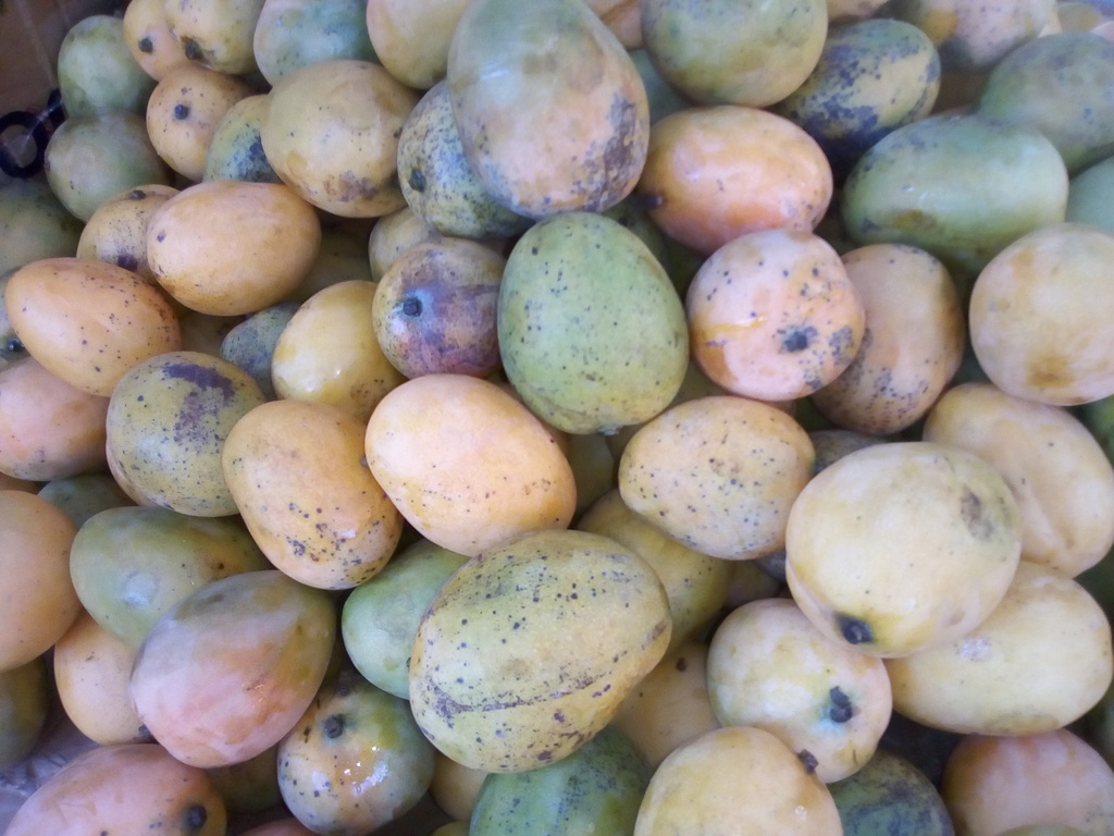 Mango azúcar